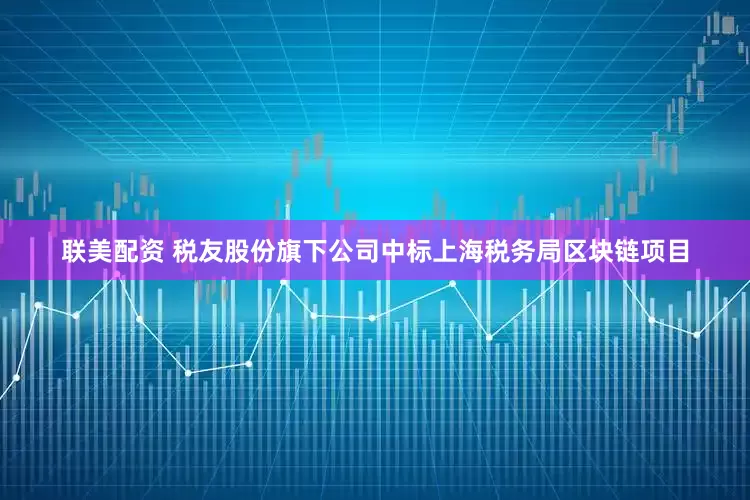 联美配资 税友股份旗下公司中标上海税务局区块链项目
