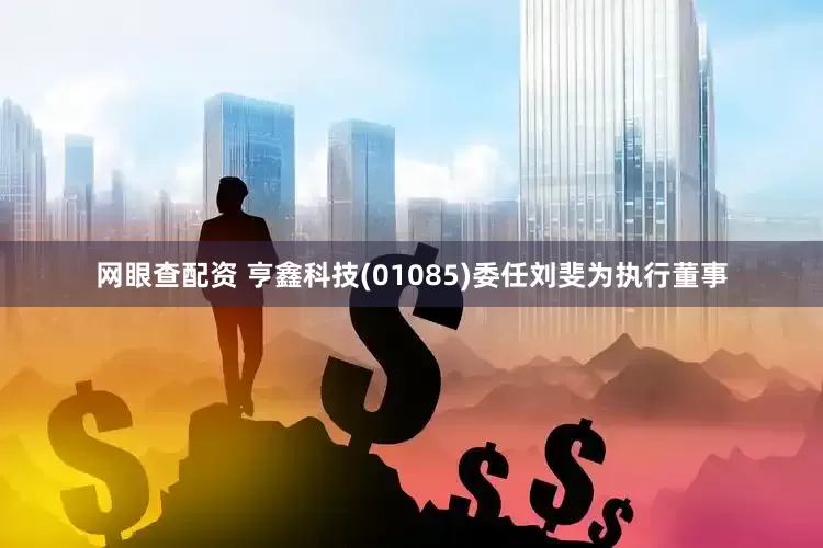 网眼查配资 亨鑫科技(01085)委任刘斐为执行董事