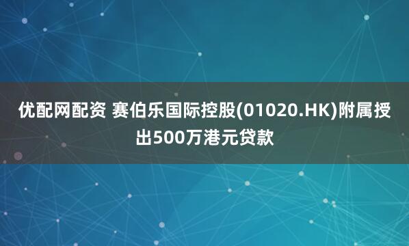 优配网配资 赛伯乐国际控股(01020.HK)附属授出500万港元贷款