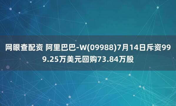 网眼查配资 阿里巴巴-W(09988)7月14日斥资999.25万美元回购73.84万股