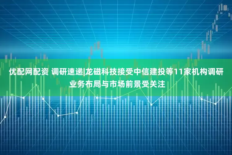 优配网配资 调研速递|龙磁科技接受中信建投等11家机构调研 业务布局与市场前景受关注
